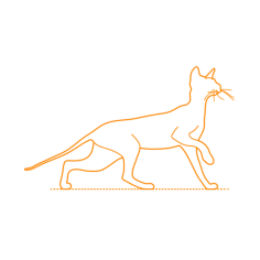 Animals Cats Peterbald Cat Sketch Svg Vector, Free Vectors File